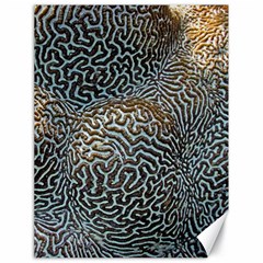 Coral Pattern Canvas 18  X 24   by Amaryn4rt