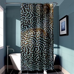 Coral Pattern Shower Curtain 36  X 72  (stall)  by Amaryn4rt