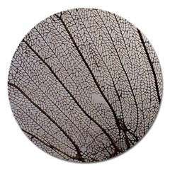 Sea Fan Coral Intricate Patterns Magnet 5  (round)