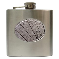 Sea Fan Coral Intricate Patterns Hip Flask (6 Oz) by Amaryn4rt