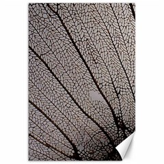 Sea Fan Coral Intricate Patterns Canvas 20  X 30  