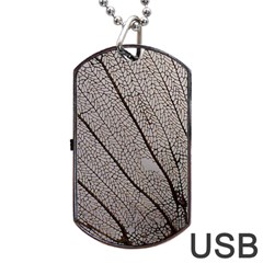 Sea Fan Coral Intricate Patterns Dog Tag Usb Flash (one Side) by Amaryn4rt