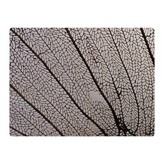 Sea Fan Coral Intricate Patterns Double Sided Flano Blanket (mini)  by Amaryn4rt