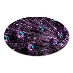 Bird Color Purple Passion Peacock Beautiful Oval Magnet by Amaryn4rt