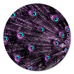 Bird Color Purple Passion Peacock Beautiful Magnet 5  (round) by Amaryn4rt