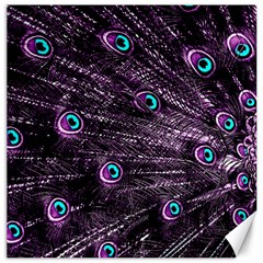 Bird Color Purple Passion Peacock Beautiful Canvas 12  X 12   by Amaryn4rt