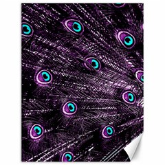 Bird Color Purple Passion Peacock Beautiful Canvas 12  X 16   by Amaryn4rt