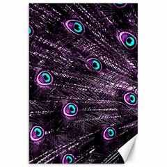 Bird Color Purple Passion Peacock Beautiful Canvas 20  X 30   by Amaryn4rt