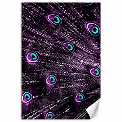 Bird Color Purple Passion Peacock Beautiful Canvas 24  X 36  by Amaryn4rt