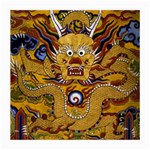 Chinese Dragon Pattern Medium Glasses Cloth (2-Side) Back