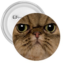 Cute Persian Cat Face In Closeup 3  Buttons by Amaryn4rt