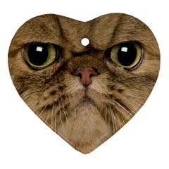 Cute Persian Cat Face In Closeup Ornament (heart) by Amaryn4rt