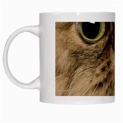 Cute Persian Cat Face In Closeup White Mugs by Amaryn4rt