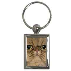 Cute Persian Cat Face In Closeup Key Chains (rectangle)  by Amaryn4rt