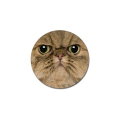 Cute Persian Cat Face In Closeup Golf Ball Marker (10 Pack) by Amaryn4rt