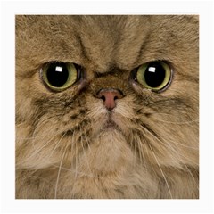 Cute Persian Cat Face In Closeup Medium Glasses Cloth (2-side) by Amaryn4rt