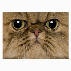 Cute Persian Cat Face In Closeup Large Glasses Cloth by Amaryn4rt