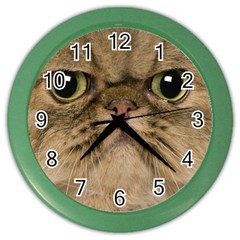 Cute Persian Cat Face In Closeup Color Wall Clocks by Amaryn4rt