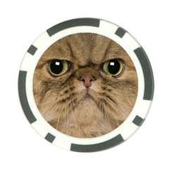 Cute Persian Cat Face In Closeup Poker Chip Card Guard by Amaryn4rt