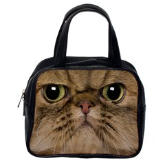 Cute Persian Cat Face In Closeup Classic Handbags (one Side) by Amaryn4rt