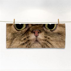 Cute Persian Cat Face In Closeup Cosmetic Storage Cases by Amaryn4rt