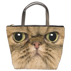 Cute Persian Cat Face In Closeup Bucket Bags by Amaryn4rt