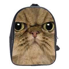 Cute Persian Cat Face In Closeup School Bags(large)  by Amaryn4rt