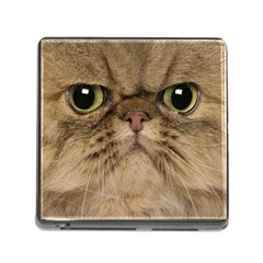 Cute Persian Cat Face In Closeup Memory Card Reader (square) by Amaryn4rt