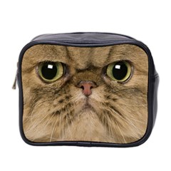 Cute Persian Cat Face In Closeup Mini Toiletries Bag 2-side by Amaryn4rt