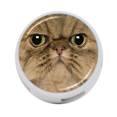 Cute Persian Cat Face In Closeup 4-port Usb Hub (one Side) by Amaryn4rt