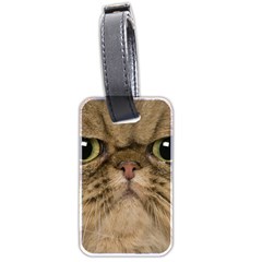 Cute Persian Cat Face In Closeup Luggage Tags (two Sides) by Amaryn4rt