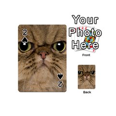 Cute Persian Cat Face In Closeup Playing Cards 54 (mini)  by Amaryn4rt