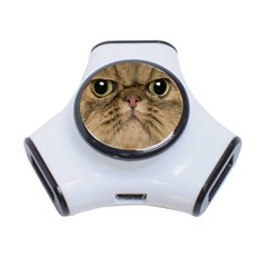 Cute Persian Cat Face In Closeup 3-port Usb Hub by Amaryn4rt