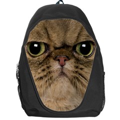 Cute Persian Cat Face In Closeup Backpack Bag by Amaryn4rt