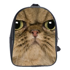 Cute Persian Cat Face In Closeup School Bags (xl)  by Amaryn4rt