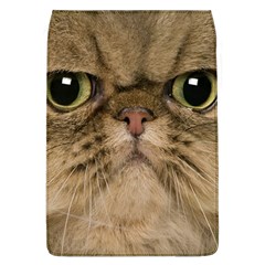 Cute Persian Cat Face In Closeup Flap Covers (l)  by Amaryn4rt