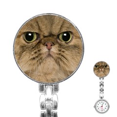 Cute Persian Cat Face In Closeup Stainless Steel Nurses Watch by Amaryn4rt