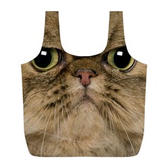 Cute Persian Cat Face In Closeup Full Print Recycle Bags (l)  by Amaryn4rt