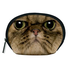 Cute Persian Cat Face In Closeup Accessory Pouches (medium)  by Amaryn4rt