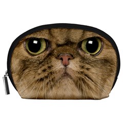 Cute Persian Cat Face In Closeup Accessory Pouches (large)  by Amaryn4rt