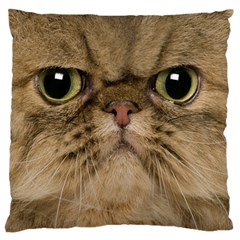 Cute Persian Cat Face In Closeup Standard Flano Cushion Case (one Side) by Amaryn4rt