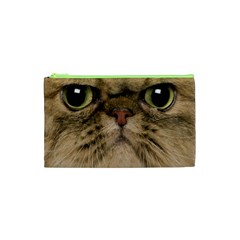 Cute Persian Cat Face In Closeup Cosmetic Bag (xs) by Amaryn4rt