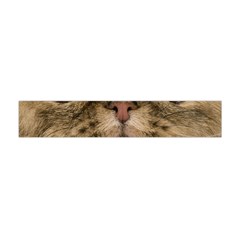 Cute Persian Cat Face In Closeup Flano Scarf (mini) by Amaryn4rt