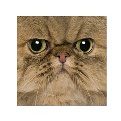 Cute Persian Cat Face In Closeup Small Satin Scarf (square) by Amaryn4rt