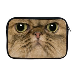 Cute Persian Cat Face In Closeup Apple Macbook Pro 17  Zipper Case