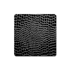 Black White Crocodile Background Square Magnet