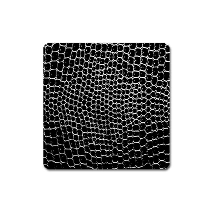 Black White Crocodile Background Square Magnet