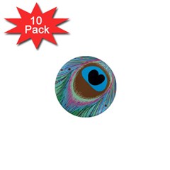 Peacock Feather Lines Background 1  Mini Magnet (10 Pack) 