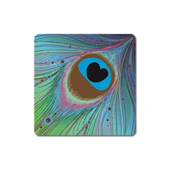 Peacock Feather Lines Background Square Magnet