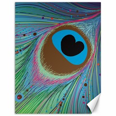 Peacock Feather Lines Background Canvas 12  X 16   by Simbadda